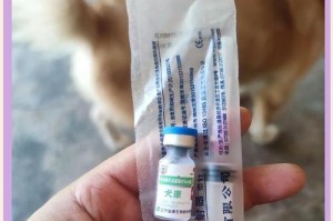 狗狗健康护理的重要性（为狗狗定期驱虫和打疫苗是关键）
