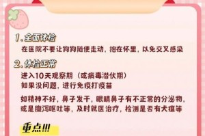 以博美犬参赛前的注意事项（提高参赛成功率的必要条件）