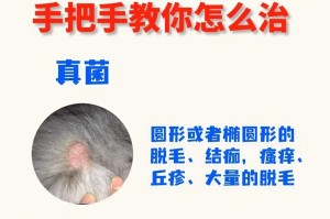 狗狗皮肤病的治疗与护理（症状、诊断及应对措施）