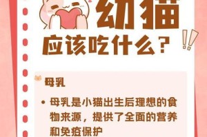 小猫的饮食之谜（探索3个月小猫的饮食需求，帮助它们健康成长）