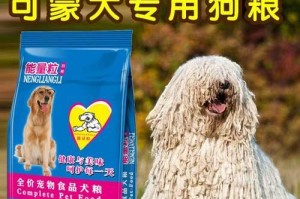 可蒙犬呕吐怎么办？（宠物主人必知的应急处理方法）
