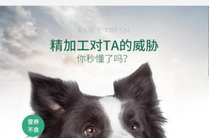 泰迪狗粮摄入量和标准身高的指南（了解泰迪狗粮摄入量和标准身高的重要性）