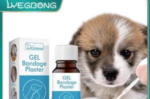 狗狗伤口处理指南（选择适合的药物疗法来帮助狗狗恢复健康）