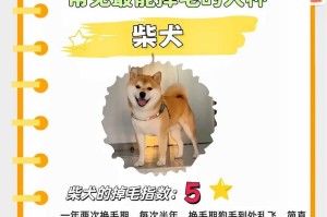 狗狗毛剪后需要多久才能长回来？（探究狗狗毛发生长周期及影响因素）