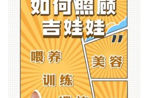 如何让你的吉娃娃训练得更好？（宠物训练技巧分享，让你的吉娃娃变得更加优秀）
