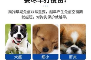 狗狗打完狂犬疫苗后多久能洗澡？（探讨狗狗接种狂犬疫苗后的洗澡时间及注意事项）