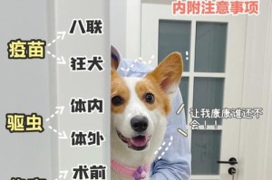 狗狗打完疫苗后可以洗澡吗？（以宠物为主，了解狗狗洗澡的正确姿势）