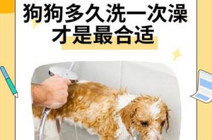 狗狗散步时间的最佳时长（狗狗健康和活动需求的平衡）