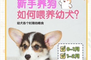 以喂什么药狗就不叫了（探索有效的止吠药品及使用方法）