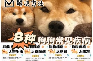 宠物狗生病的常见症状及应对方法（如何判断狗狗生病？如何及时治疗？）