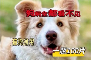 狗感冒的治疗方法及相关药物（了解狗感冒的症状、预防与治疗措施）