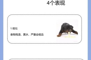 狗狗吐的原因及对应处理方法（探究狗狗吐的情况及预防措施）