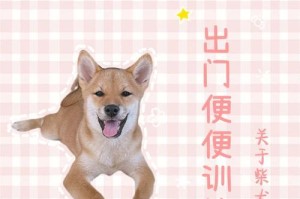 如何训练狗狗不吃便便（有效的方法和技巧帮助宠物摆脱“食粪癖”）