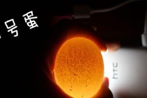 如何分辨龟蛋是否受精？掌握这些小技巧！（学习如何判断龟蛋的受精状态，从而提高孵化成功率）