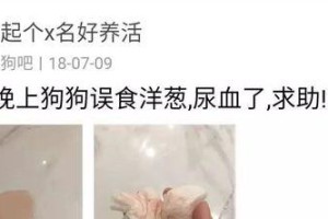 小狗肠胃受伤的症状及治疗方法（了解小狗肠胃受伤的常见症状与保健方法）
