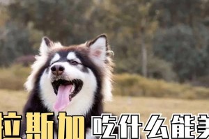 探索阿拉斯加（品味北国美食，领略阿拉斯加风情）