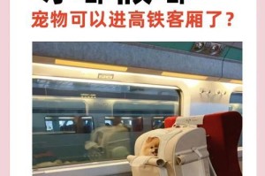 世界上哪些国家允许带宠物旅行？（探索宠物友好国家，为你的毛茸伙伴提供完美的旅行体验）