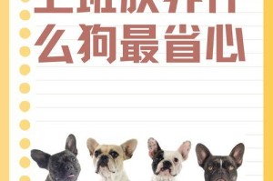 泰迪犬与贵宾的区别（探索两种狗狗的特点和养护需求）