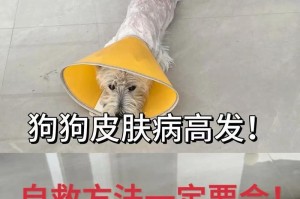 狗癞是什么皮肤病？（了解狗癞，保护宠物健康）