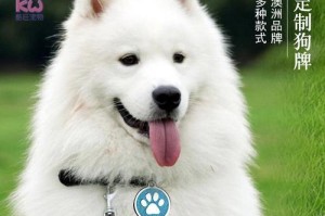 狗狗身份牌的重要性（保护宠物安全的必要工具）