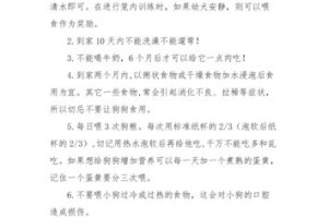怀孕期间养狗需要注意的手续及注意事项（为宝宝和狗狗打造和谐共处的家庭生活）