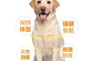 如何正确喂养比熊？（以比熊一顿吃多少狗粮？）