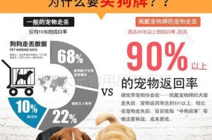 以宠物牌写什么最好的？（探索宠物牌的优秀写作主题和）