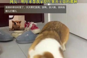 小狗为什么喜欢刨地？（探索小狗刨地行为的原因与意义）