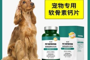 小犬缺钙将怎样影响宠物健康？（探究可卡犬缺钙的症状与危害）