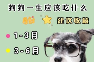 8个月幼犬的主要食物（全面营养需求与健康成长）