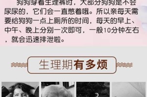 狗的生理周期（了解狗的生理周期与健康状况密切相关的细节）