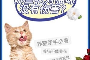 养猫家里适合种植的花草及其养护要点（为你的猫咪打造一个花园天堂）