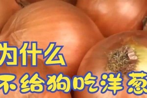 小狗成长的关键-饮食的重要性（以小狗吃什么能长得快？小狗的饮食需求和注意事项）