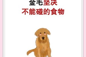 金毛爱吃的水果有哪些？（了解金毛喜欢的水果种类和好处，让它更健康、更快乐）