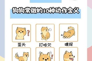 新手养狗