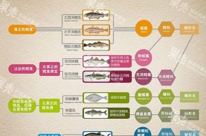 粗毛兔的饲养方法（养殖技巧、食物搭配、健康状况）