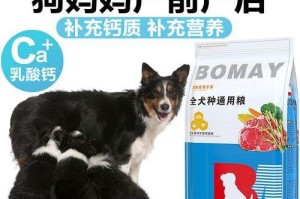 宝贝满月，狗狗该吃什么？（以狗才满月的饮食需求为主题，为你详解适合狗狗的食物。）