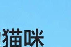 探索猫催吐的有效方法（安全与正确的催吐技巧和使用物品）