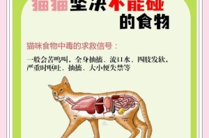 母猫的饮食预防措施（关注母猫的饮食对健康猫咪的重要性及预防措施）