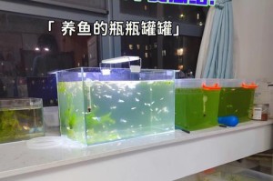孔雀鱼饲养全指南（孔雀鱼品种、水质、饲料、繁殖、疾病、养护、注意事项）