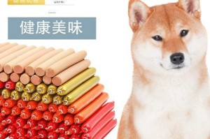 小型犬的钙质需求及补充方法（探究小型犬钙质摄入的重要性及适合的食物）