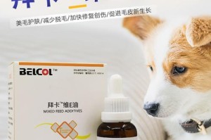 如何预防以泰迪皮肤病（宠物主人必知的15个护肤小技巧）