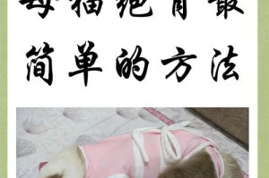 猫绝育后何时可以恢复正常饮食？（了解猫咪绝育术后的饮食恢复时间和注意事项）