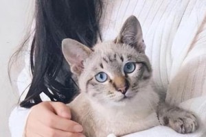 猫咪的喜好之道（揭秘猫咪选择主人的关键因素）