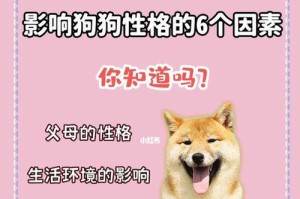 影响狗狗训练的因素（探究宠物、环境、主人与狗狗训练的关系）