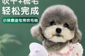如何正确地为宠物狗狗梳毛和洗澡？（狗狗健康幸福需要你的爱护）