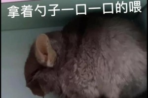 龙猫生产前的常见症状及处理方法（了解龙猫繁殖前的身体信号与预防措施）