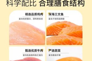 泰迪犬的饮食与毛发保养（除狗粮外，泰迪犬可食用的五种食物及毛发护理秘籍）
