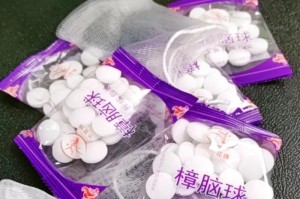 驱虫方法与技巧大全（探索自然驱虫方式，保护家庭健康）