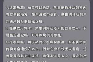 如何预防狗狗中暑？（了解狗狗怕热的红线，保护它们的健康）